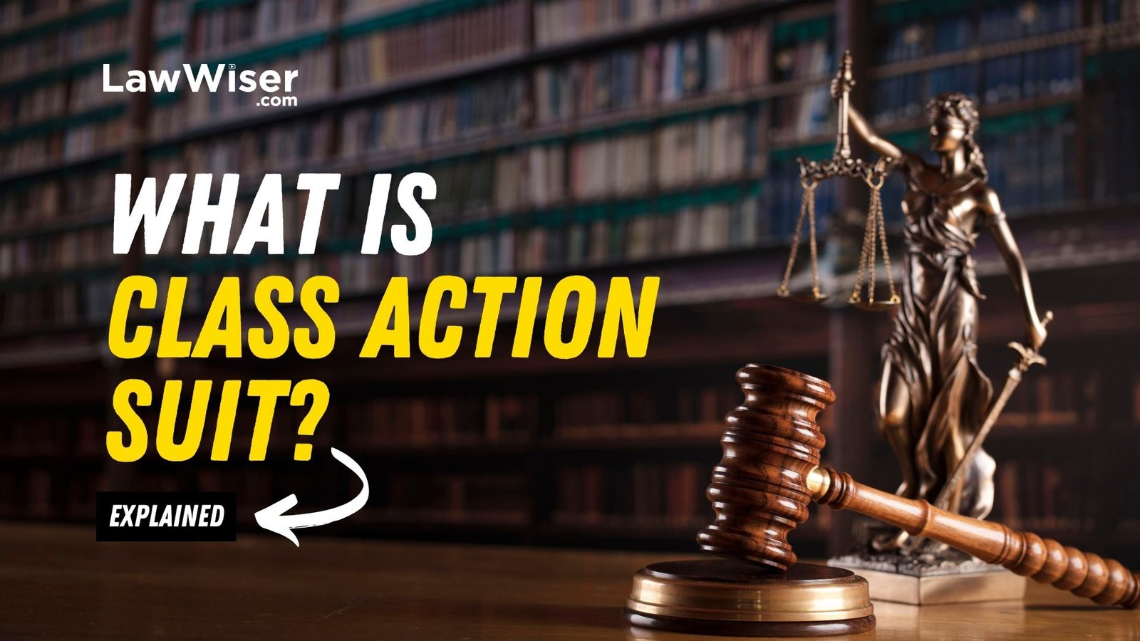What is a Class Action Suit?